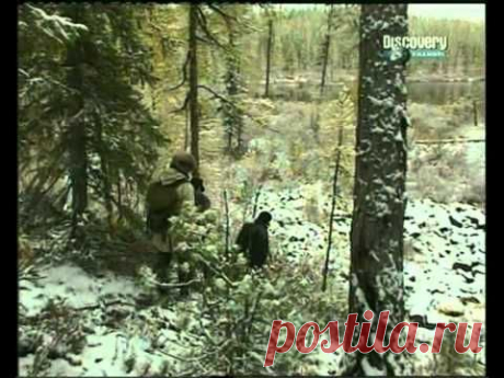 Наука выживания. Сибирь