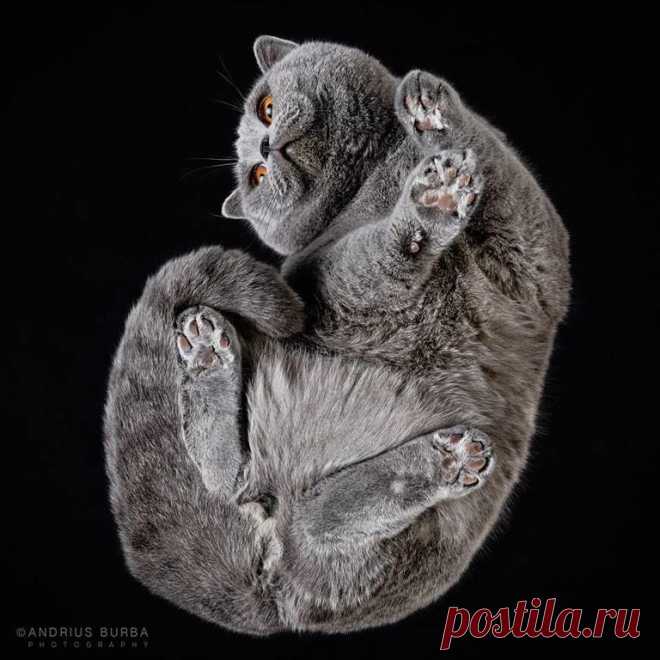 (10) Мой Мир@Mail.Ru