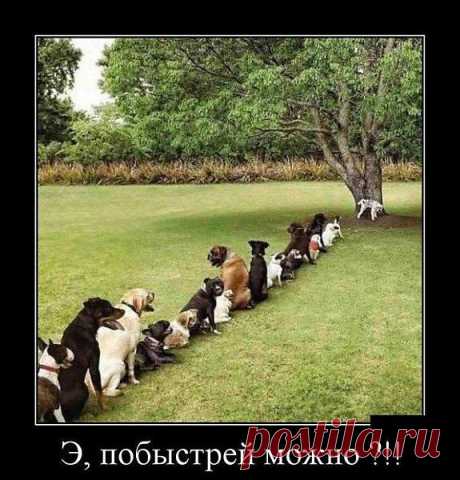 Интересные новости