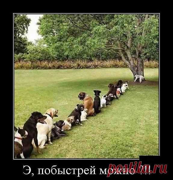 Интересные новости