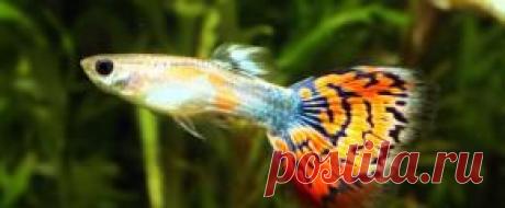 Мирный - Part 6