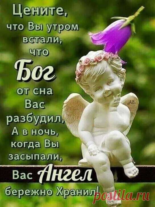 i (545×727)