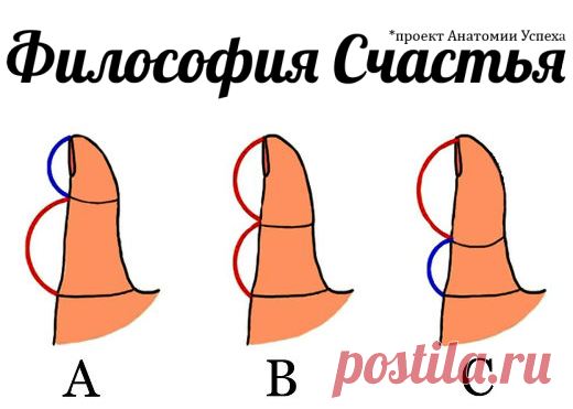 Посмотрите на свой большой палец. Какой он? И вот... - Философия Счастья