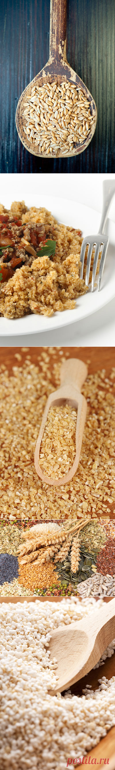 Варим кашу: 14 круп, о которых вы не знали или забыли - Parents.ru