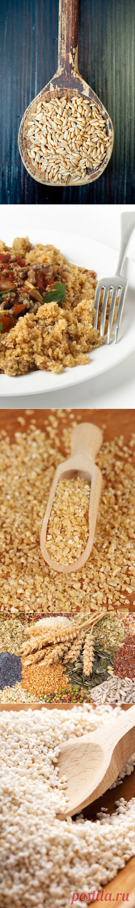 Варим кашу: 14 круп, о которых вы не знали или забыли - Parents.ru