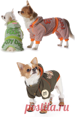 Шубы для собак купить в интернет-магазине — Каталог — Интернет-магазин одежды для собак Zoostyle