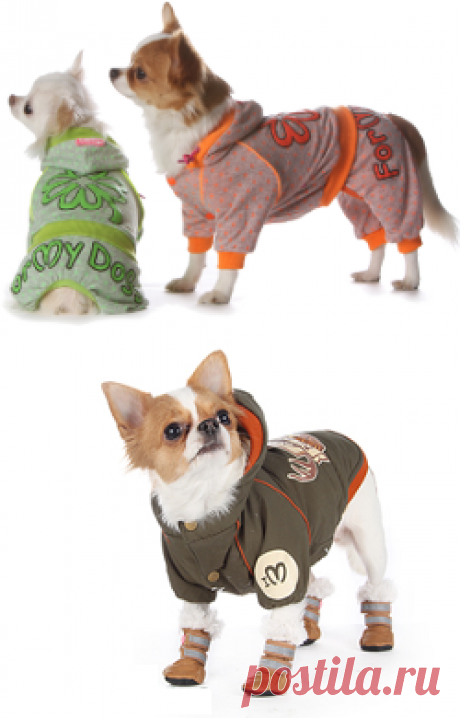 Шубы для собак купить в интернет-магазине — Каталог — Интернет-магазин одежды для собак Zoostyle