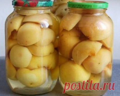 Маринованные яблоки на зиму – как сделать удачную заготовку