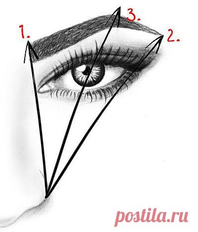 Уроки красоты: Брови и все о них...