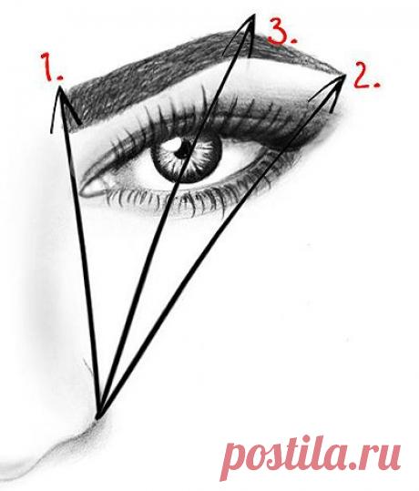 Уроки красоты: Брови и все о них...