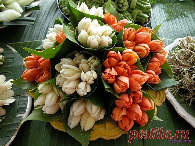 Интересные факты. Всё и обо всём.