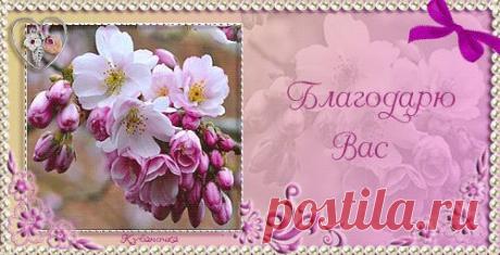 4263409.gif (500×255)