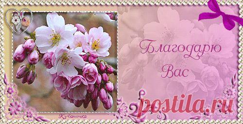 4263409.gif (500×255)