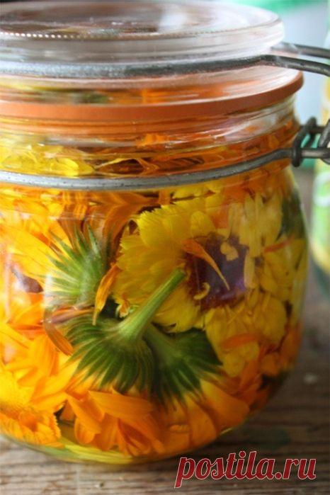 Настойка и мазь из календулы своими руками