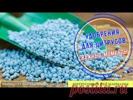 Удобрения для цитрусовых-2 часть. Важные моменты / Цитрусовый Рай МариАны - YouTube