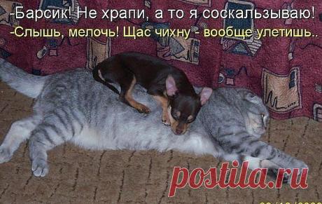 Большие и маленькие...