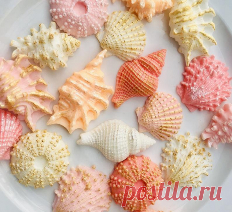 Seashell Soaps Set of 6 9 12 or 15. Essential Oil Scented | Etsy