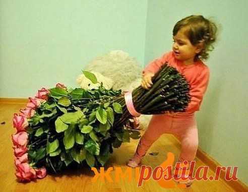 Одноклассники