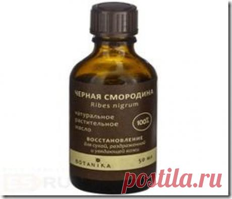 Масло смородины | Здоровый мир