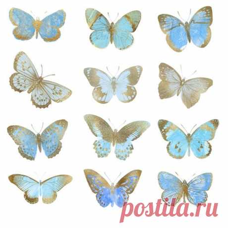 (115) Pinterest