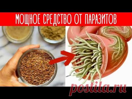 МОЩНОЕ СРЕДСТВО от ПАРАЗИТОВ и ТОКСИНОВ