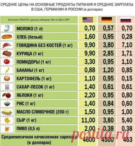 Только смешные фото из жизни людей и других животных