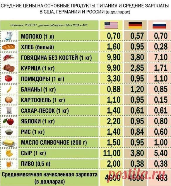 Только смешные фото из жизни людей и других животных