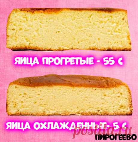 Почему яйца для бисквита нужно согревать❓❗️ | 🍰Пирогеево | Яндекс Дзен