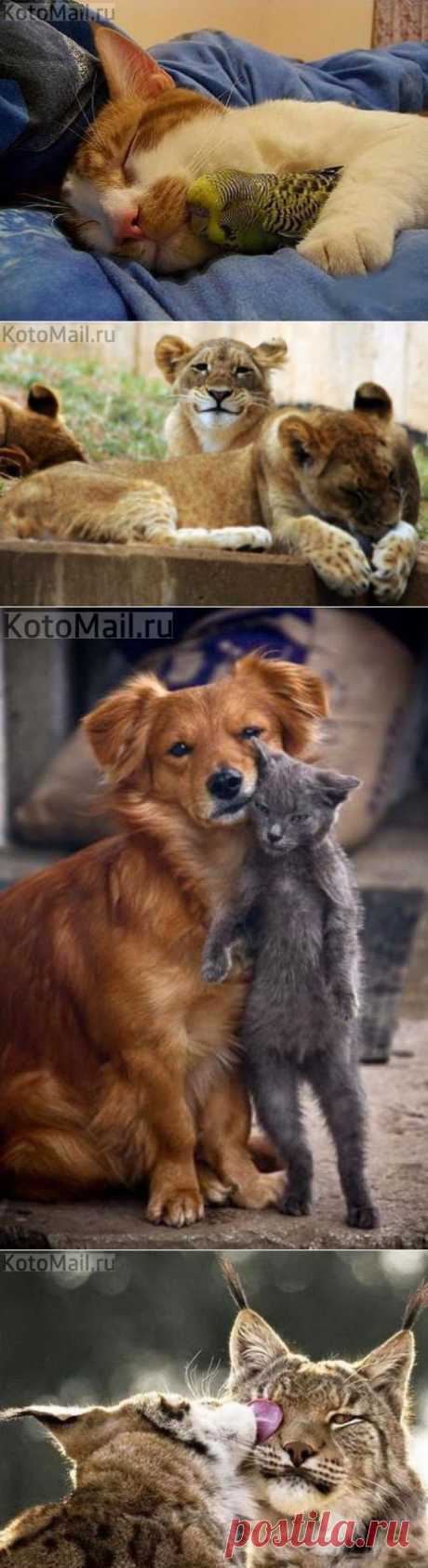 Тёплые компании :3