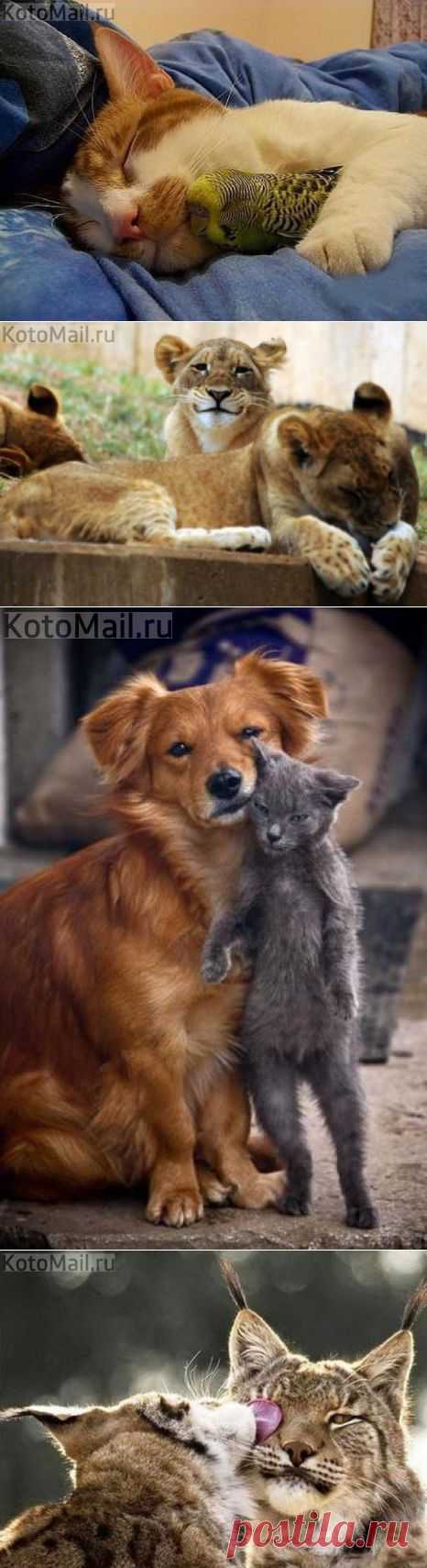 Тёплые компании :3