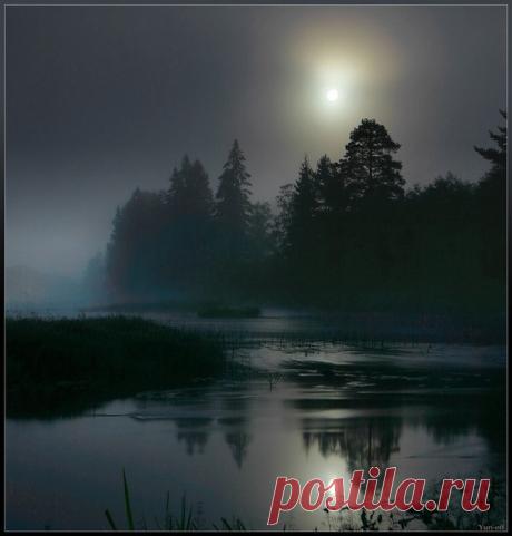 О, моя далекая...