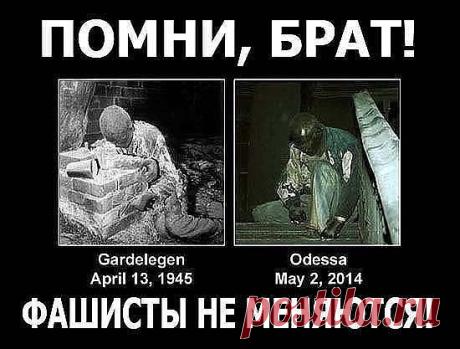 (49) Одноклассники