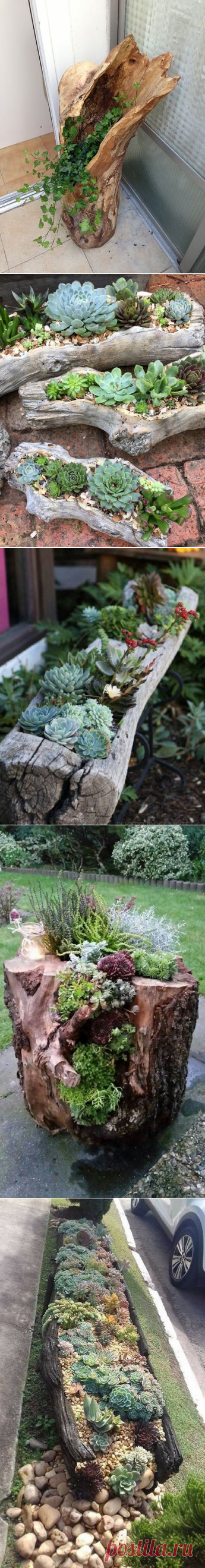 Удачные идеи из коряг — Сделай сам, идеи для творчества - DIY Ideas