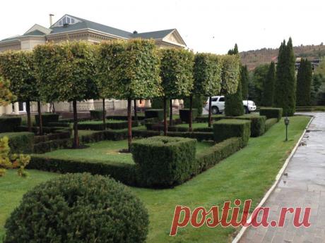 Наши работы — Landscape.kz, ландшафтный дизайн в Алматы,садовник в Алматы, альпийские горки, водоемы в Алматы, пруды в Алматы, газоны в Алматы, водопады в Алматы, поливочная система в Алматы, ландшафтное проектирование в Алматы, сады на крыше в Алматы, новогоднее оформление в Алматы, хвойные лиственные крупномеры в Алматы.