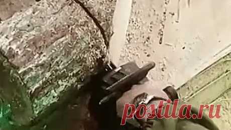 Вот, что можно сделать из бревна