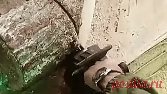 Вот, что можно сделать из бревна