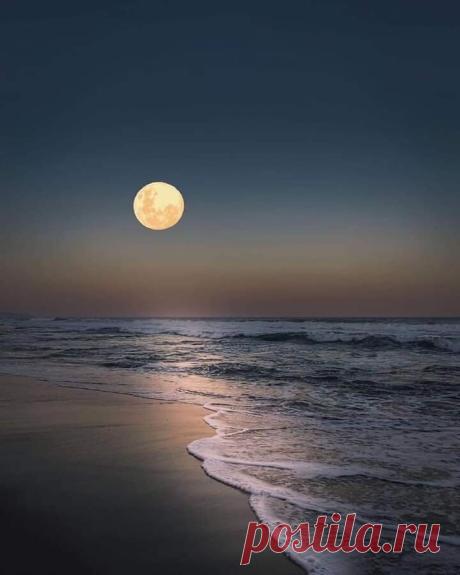 i (720×900)