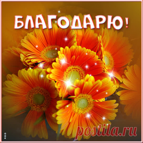 Благодарю за приятные слова и теплые пожелания! Ваши поздравления сделали мой день ещё более счастливым. Благодарю за внимание и хорошее настроение! открытки благодарю