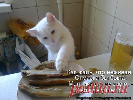 Мол, ничего не знаю, взяла да уплыла...