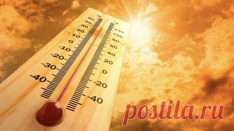 Следующие 5 лет будут самыми жаркими за всю историю человечества | Hi-Tech Mail.ru | Дзен