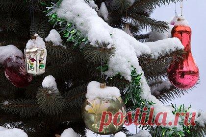 В российском городе появилась загадочная елка-арестантка. В Шахтах Ростовской области появилась загадочная елка-арестантка. Вокруг наряженного к Новому году дерева в российском городе установили металлический конус. Местные власти не смогли объяснить значение конструкции — неизвестно, была ли конструкция установлена для красоты или в целях безопасности.