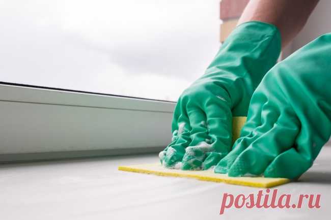 14 простых способов сделать вашу кухню чище