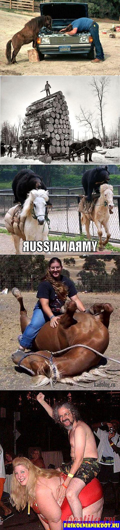 В СУББОТУ ВЕЧЕРОМ. Придумаем смешные подписи к фото - 6. | ПРИСТАНЬ ОПТИМИСТОВ