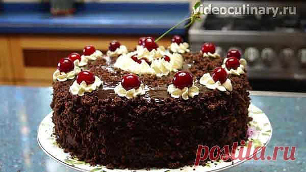 Торт Пьяная вишня - Видеокулинария.рф - видео-рецепты Бабушки Эммы