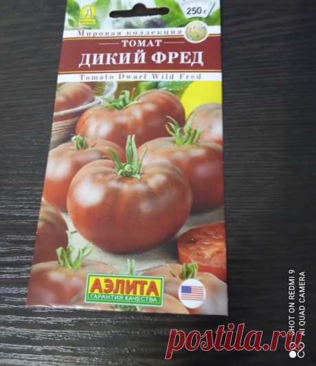 Томат Дикий Фред — описание, характеристика, почему решила выращивать. Обещают завалить урожаем | Блогерство на пенсии | Дзен