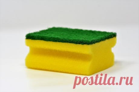 Почему губки бывают разных цветов и чем они отличаются друг от друга - Дачный участок - медиаплатформа МирТесен