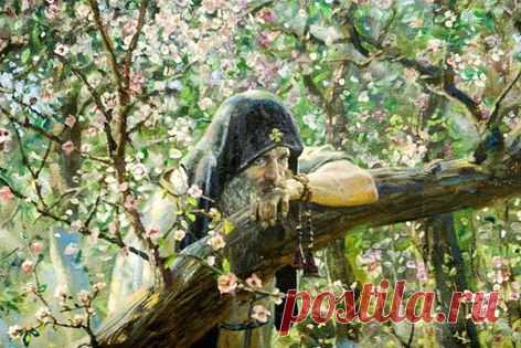 (3) Facebook
