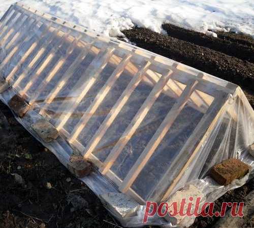 Экспресс-парник из подручных материалов