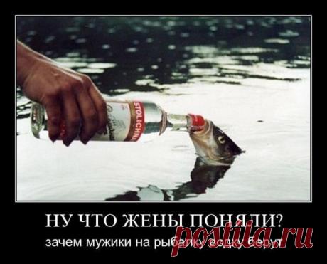 Юмор FM — Главная