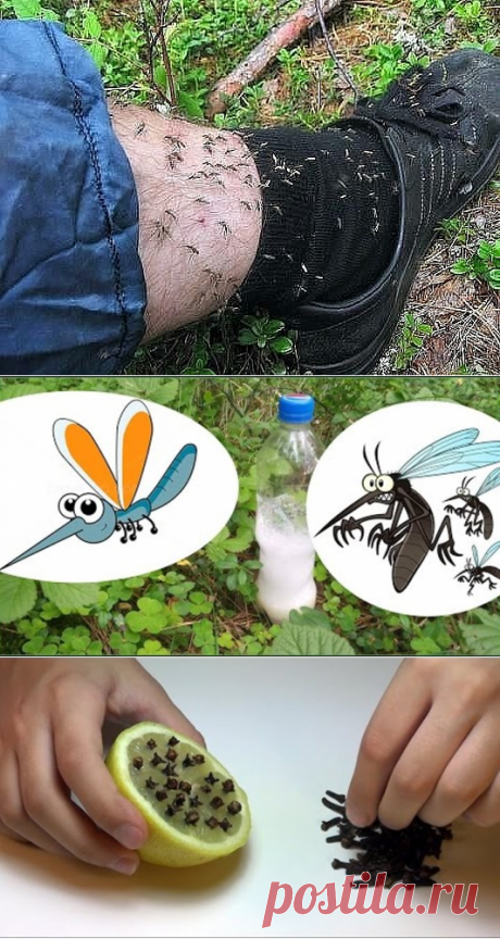 Одноклассники